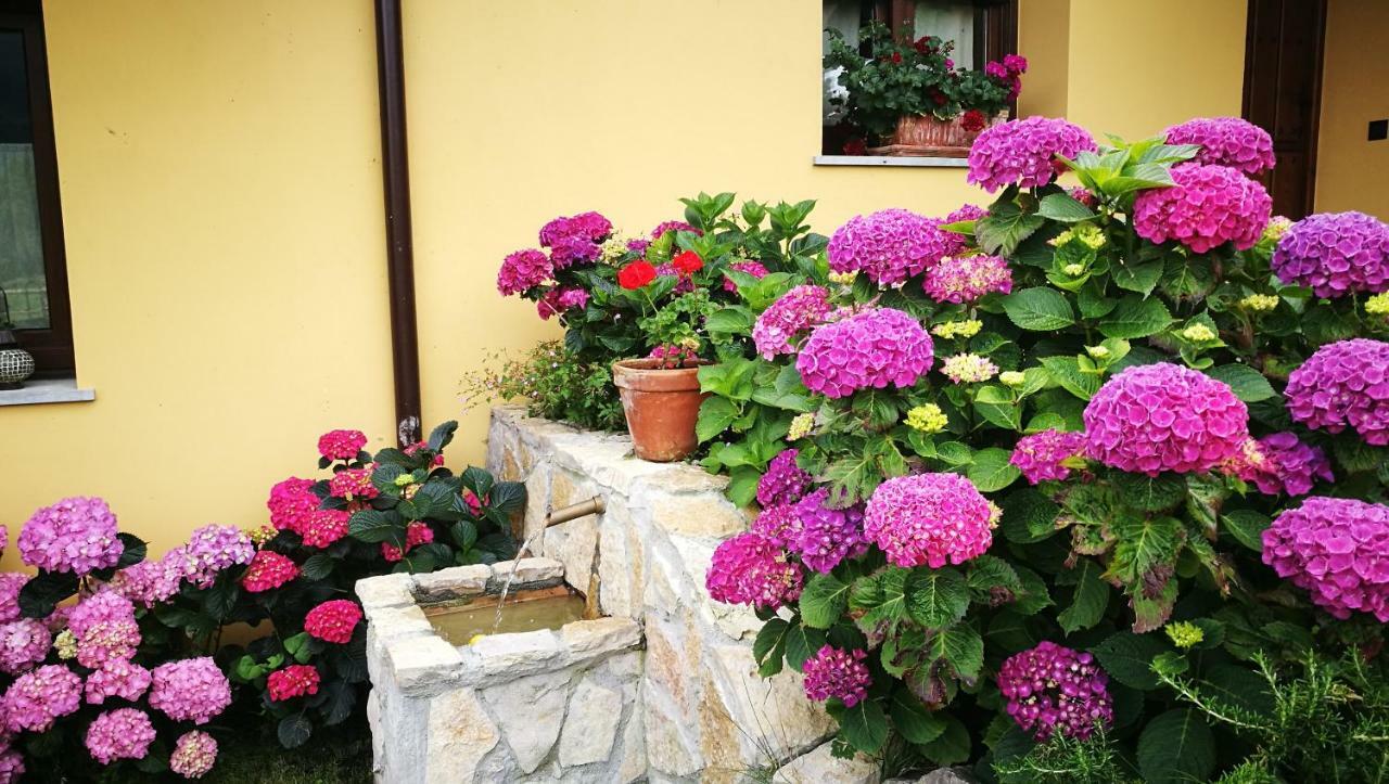 Casas Rurales Entrecastanos Cangas de Onis Exterior photo
